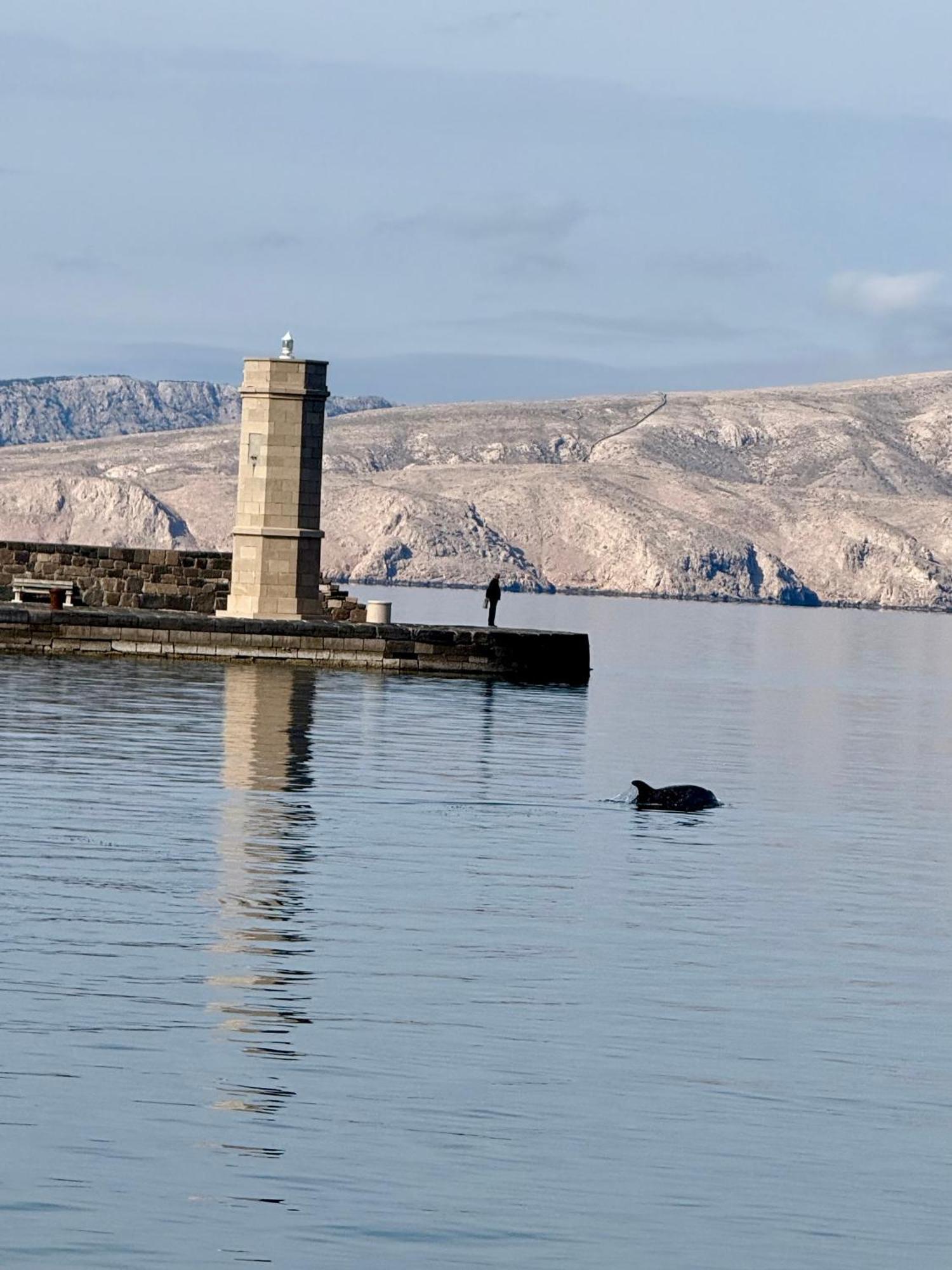Carpe Diem Apartment Senj  Zewnętrze zdjęcie